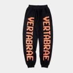 Vertabrae Vertabrae Profile Picture