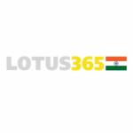 The lotus365id Profile Picture