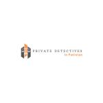 Private detective in Pakistan Profile Picture
