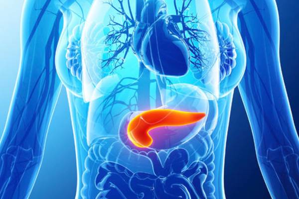 Pancreatic Disease Treatment in PCMC Pune : Dr. Vikrant Kale