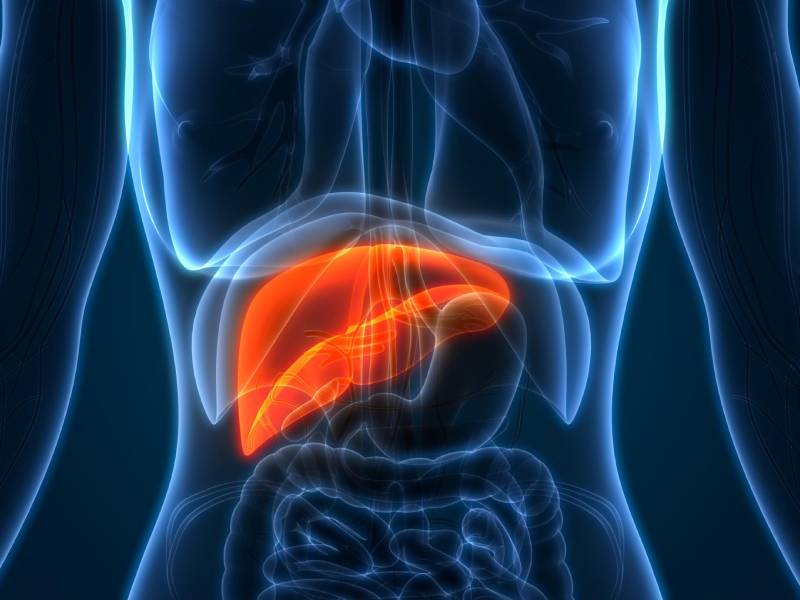 Liver Cancer Treatment in Pune | Liver cancer Specialist in Pune | Dr. Manoj Dongare