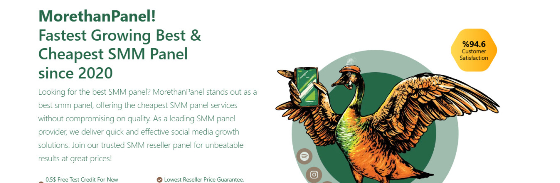 MoreThanPanel Official Cover Image