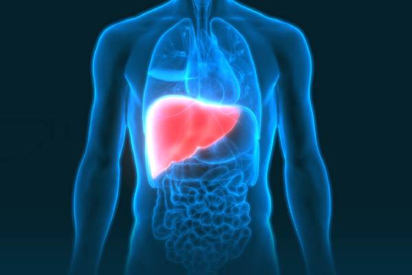 Liver Transplant Surgery | Liver Transplant Surgeon in PCMC Pune : Dr. Vikrant Kale