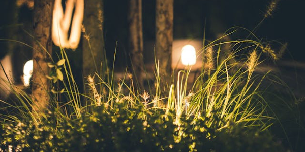 How to Choose the Best Outdoor Garden Lights for Your Home