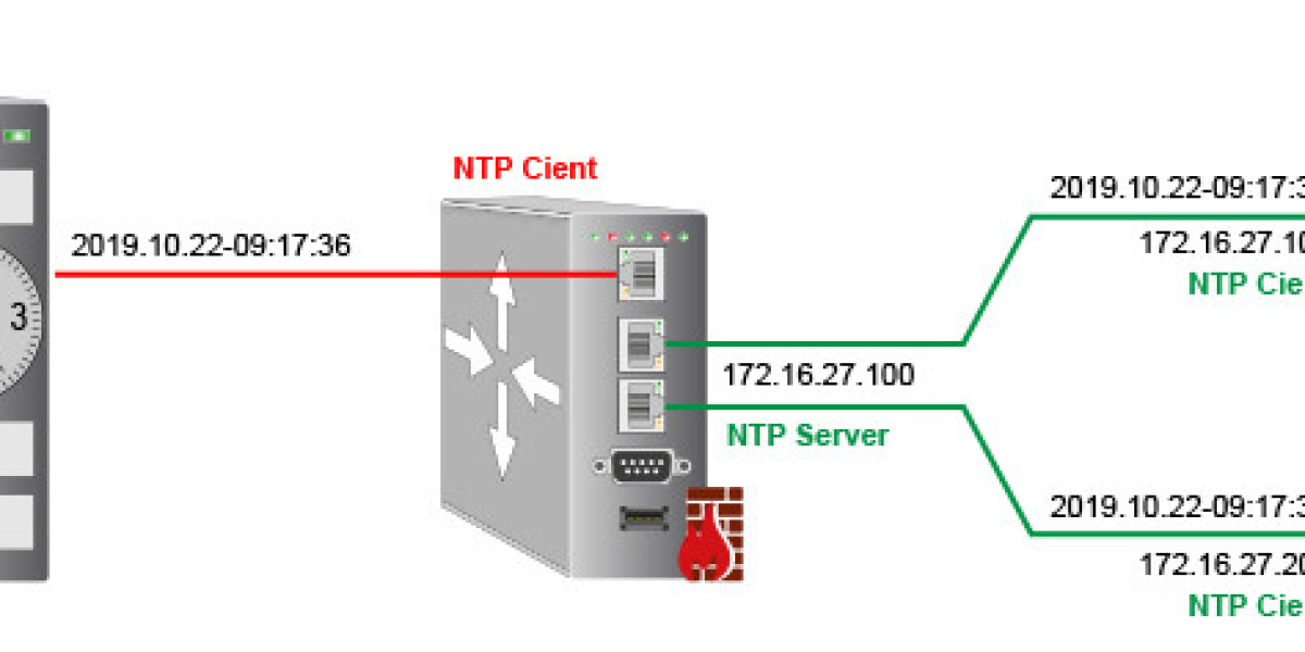 Strategic Insights into the Network Time Protocol Server Market 2025
