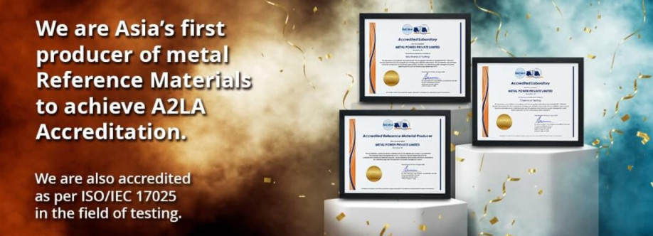 Metal Power Standards Cover Image