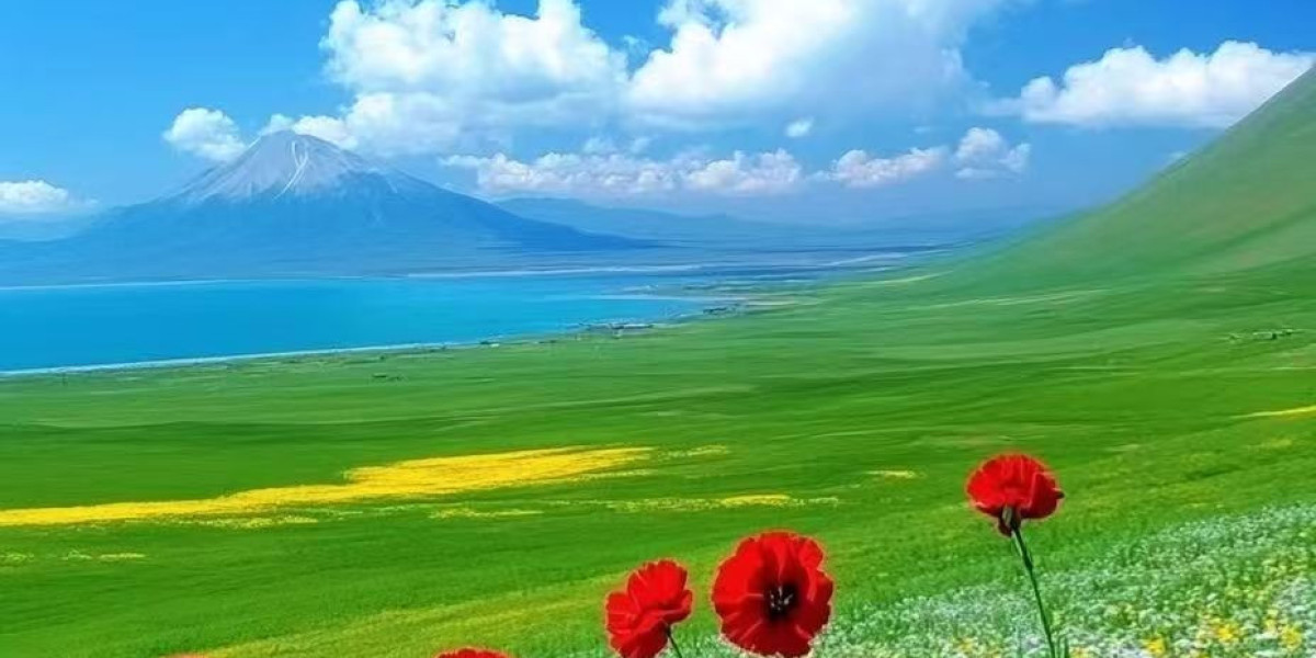 BREAKING: Texans hearth offensive coordinator Bobby Slowik