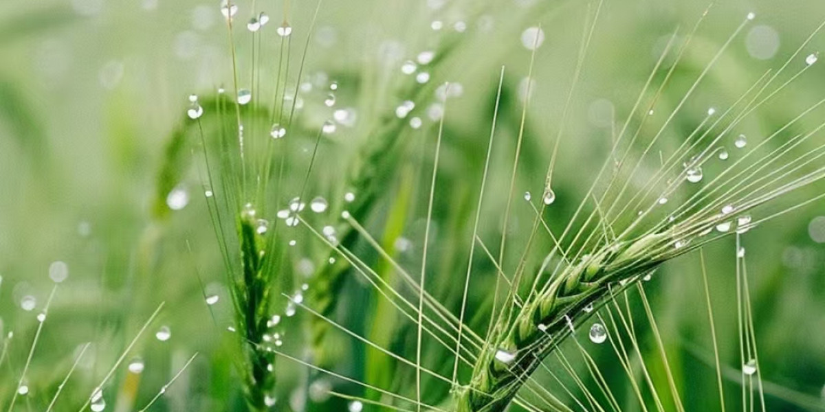 Jaguars vs Jets: A few matchups towards check