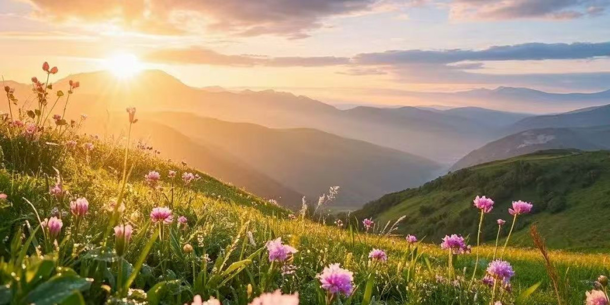 Pipeline podcast tends to make chance predictions for 2025