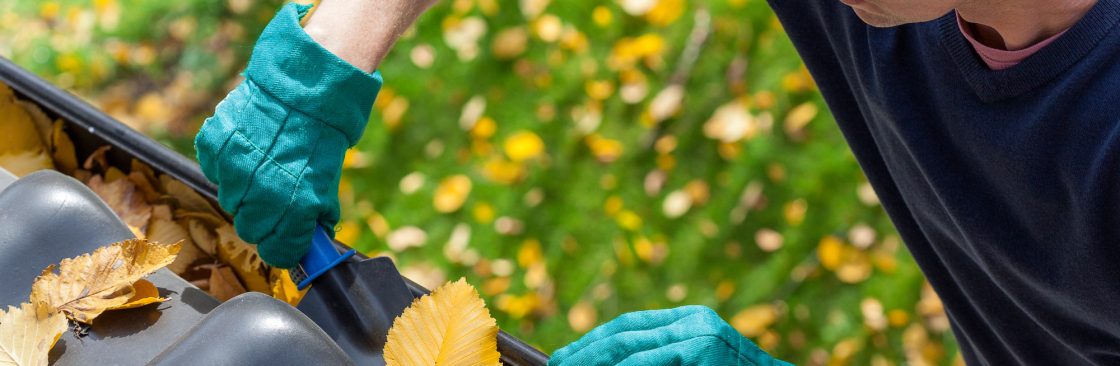 Regal Gutter Cleaning Geelong Cover Image