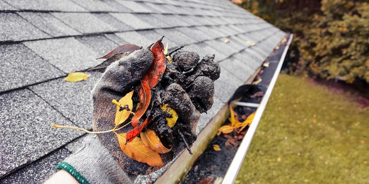 The Ultimate Guide to Gutter Cleaning for Geelong Homeowners