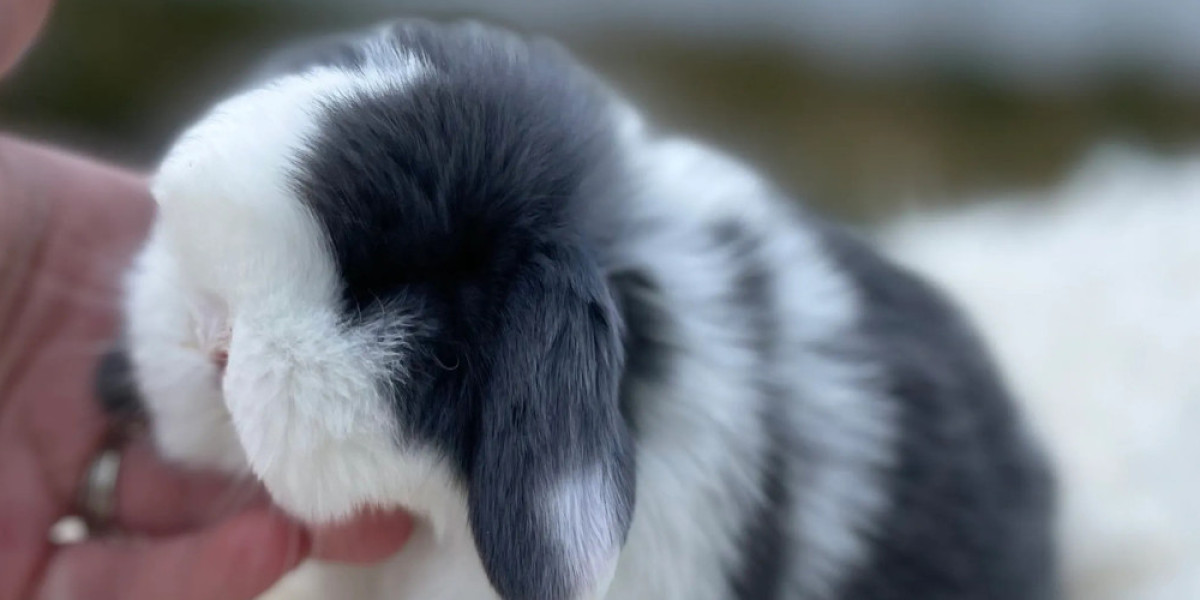 Vegas108 Link Alternatif: Updated Access Options & What Users Should Know