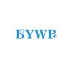 BYWB Bearing Profile Picture