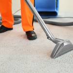 Swornes Profile Picture