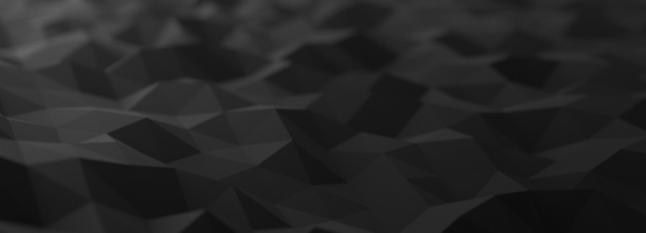 Sandro Johnson Cover Image