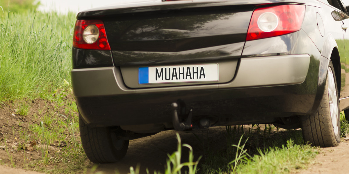 What Should You Know Before Buying Japan License Plates for Sale?