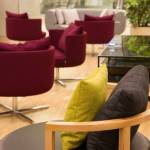 Galeria Salomon Profile Picture