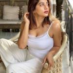 divya lobiyal Profile Picture