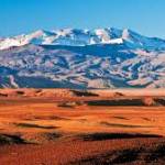 henry654 Profile Picture