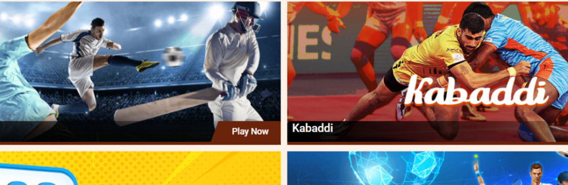 Skyinplay Login Cover Image