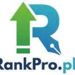 On_page SEO Service Profile Picture